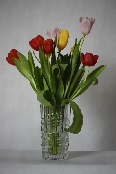 Fresh Tulips in a Vase  — Stock Photo, Image